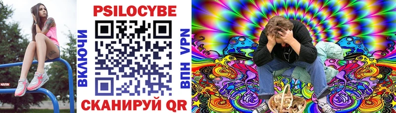 Галлюциногенные грибы MAGIC MUSHROOMS  цены наркотик  Буй 